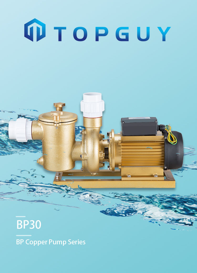 salt water pumps for pools salt water pumps for pools