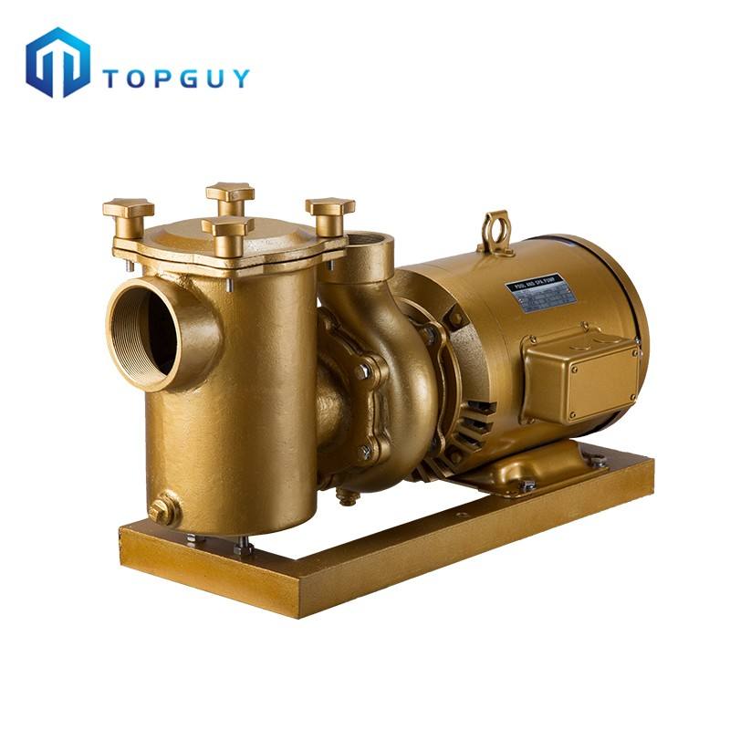 northern tool water pump