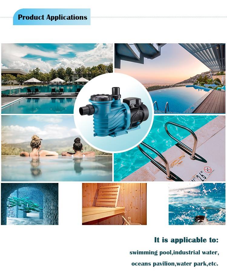 pool pumps and motors