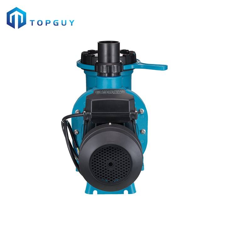 swimming pool with pump and filter