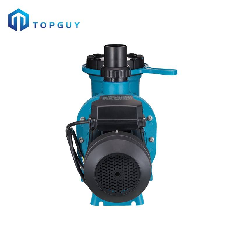 pump motor for pool