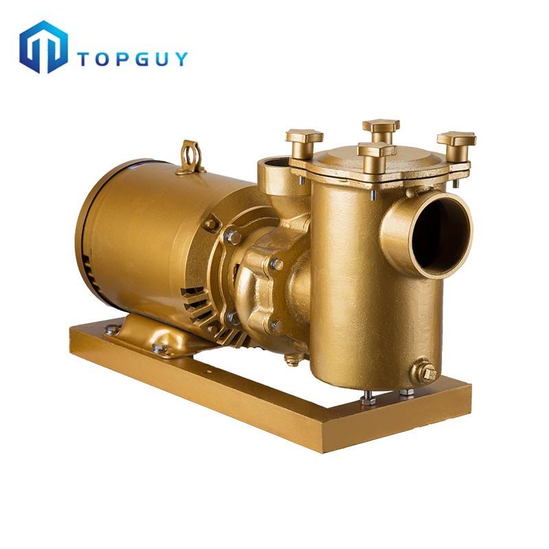 northern tool water pump