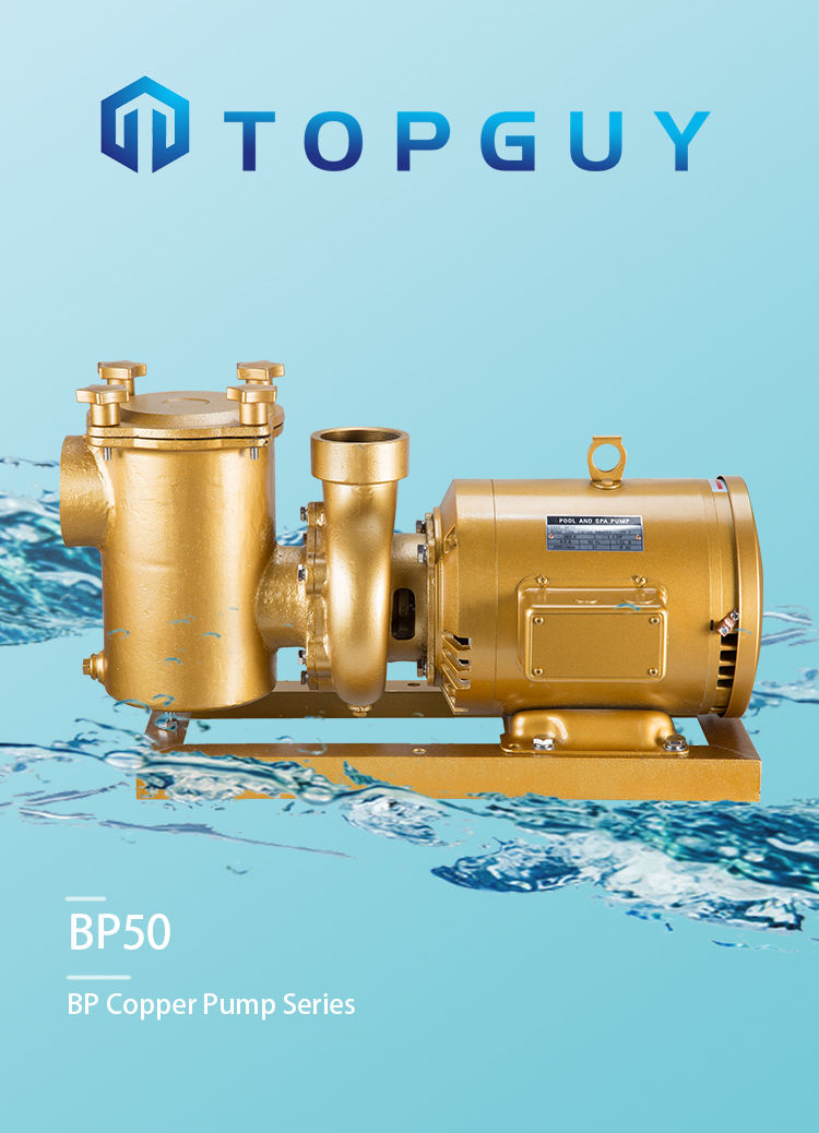 pompe &agrave; eau &eacute;lectrique